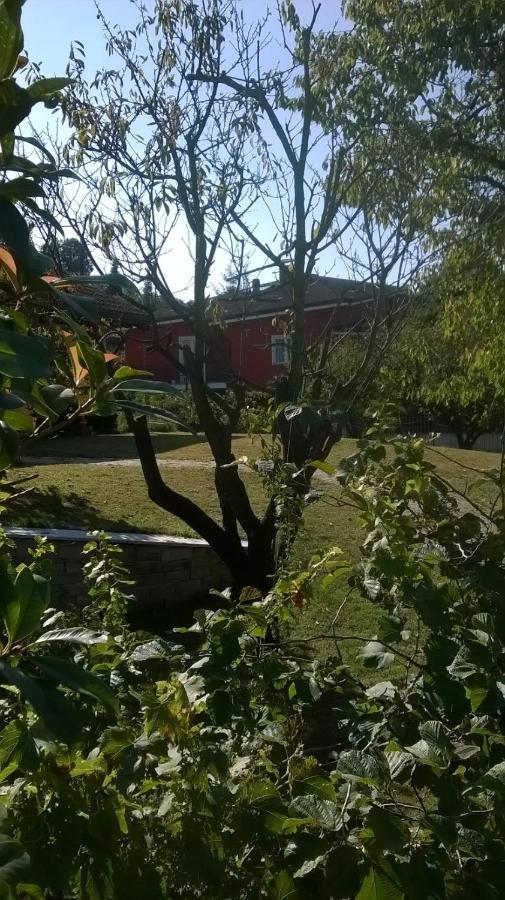 Bed and Breakfast 'L Sass Borgomanero Zewnętrze zdjęcie