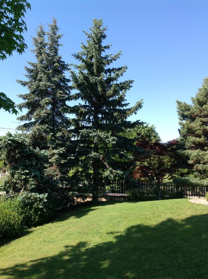 Bed and Breakfast 'L Sass Borgomanero Zewnętrze zdjęcie